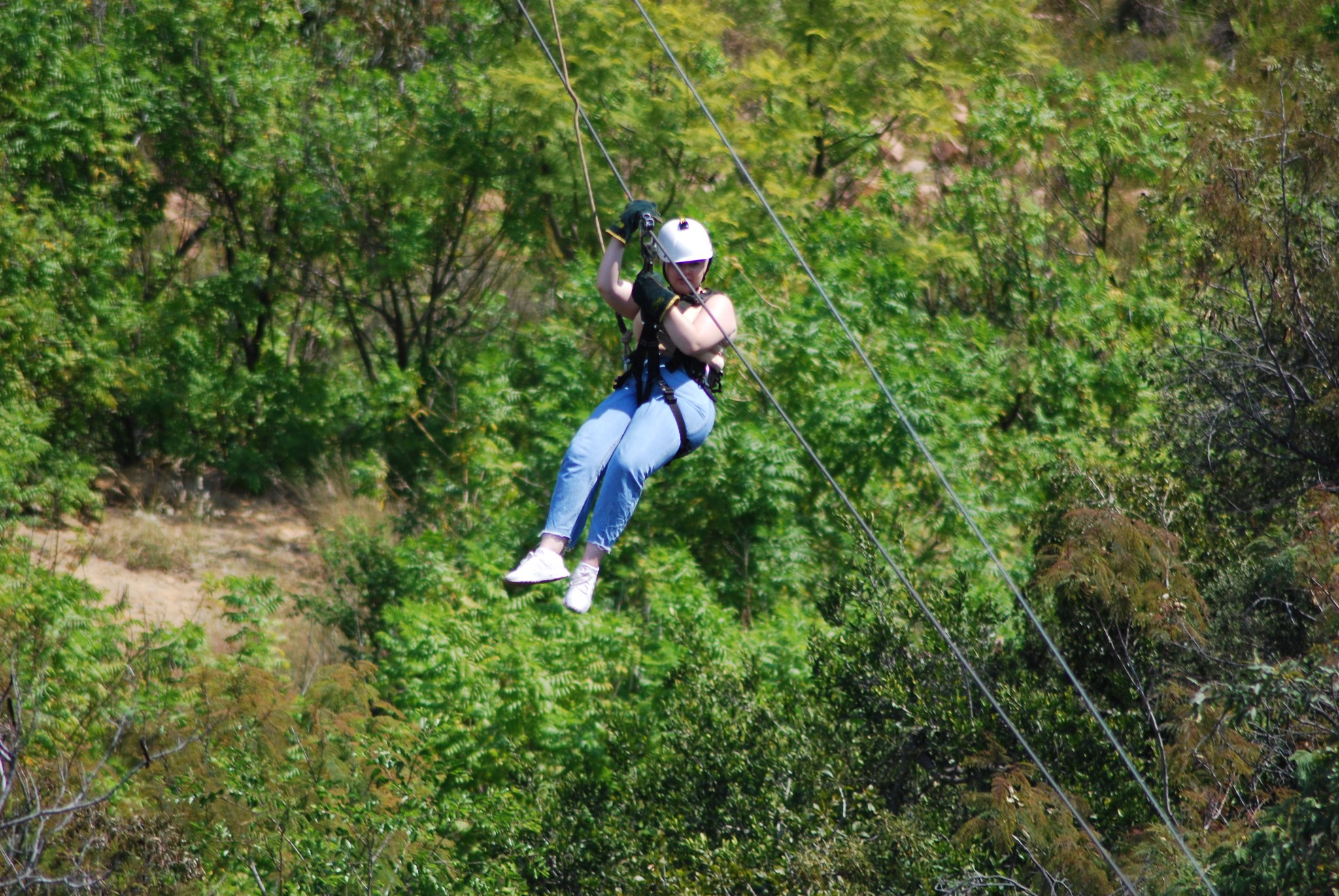 Activity Image